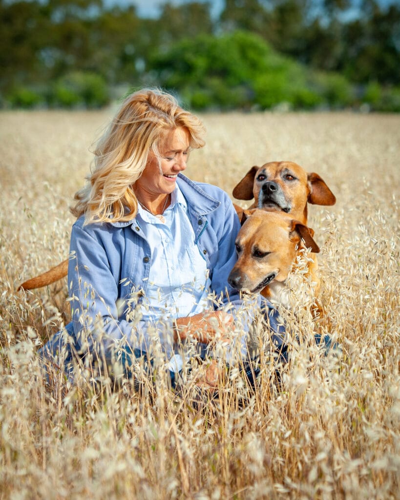 Two brown dogs play with a woman who is sitting in a field of tall, golden grass.